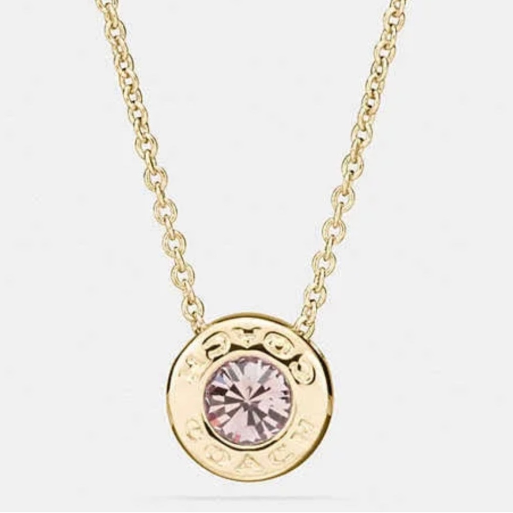 Coach Open Circle Stone Necklace